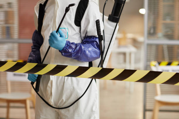 Professional Blood Cleanup technician working in Saint Stephen, SC